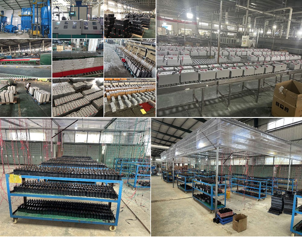 product-1000-786 product-1000-786